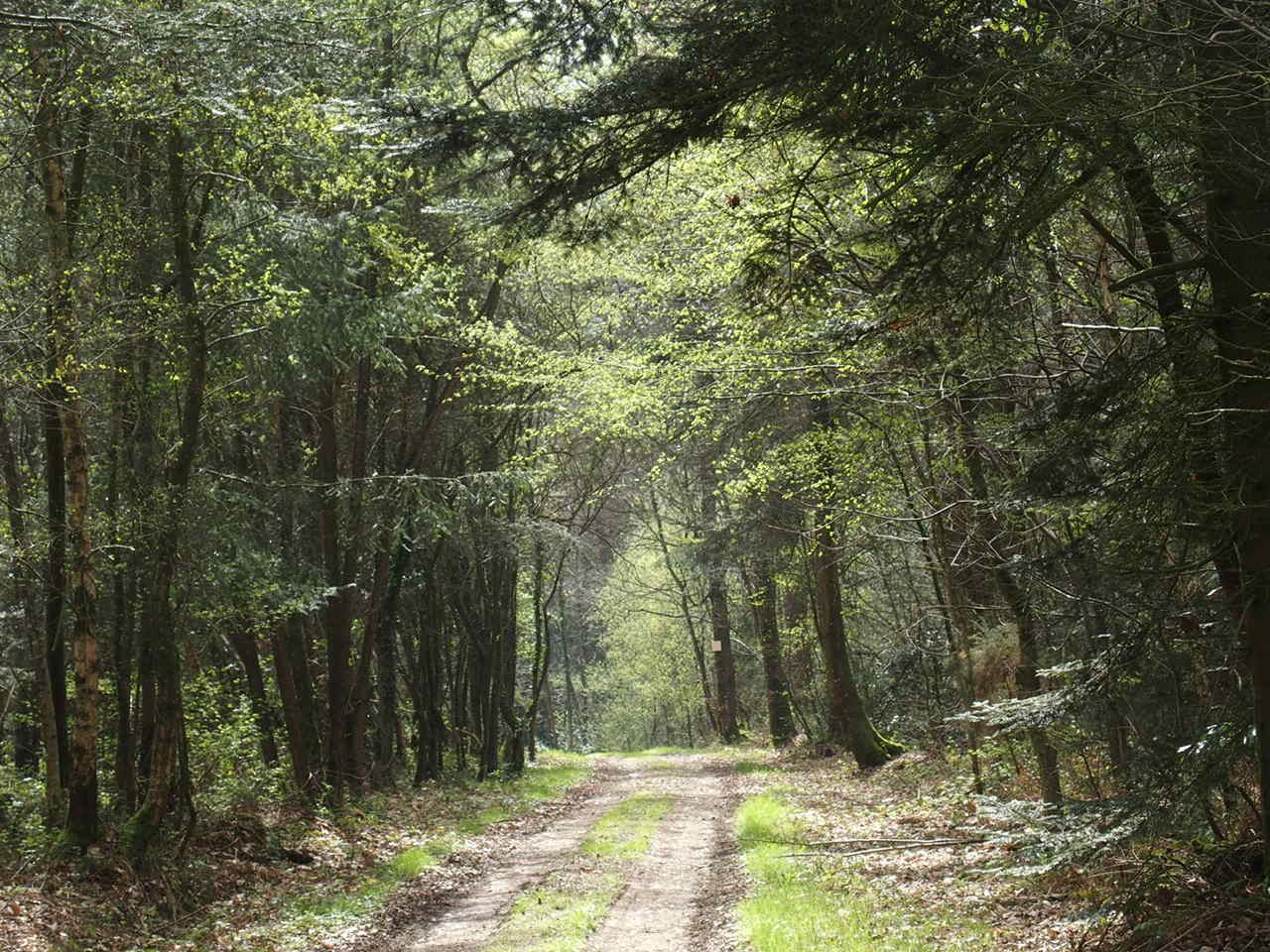 Aucune photo pour cette étape.